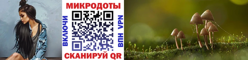 Галлюциногенные грибы Psilocybe  цена   Скопин 